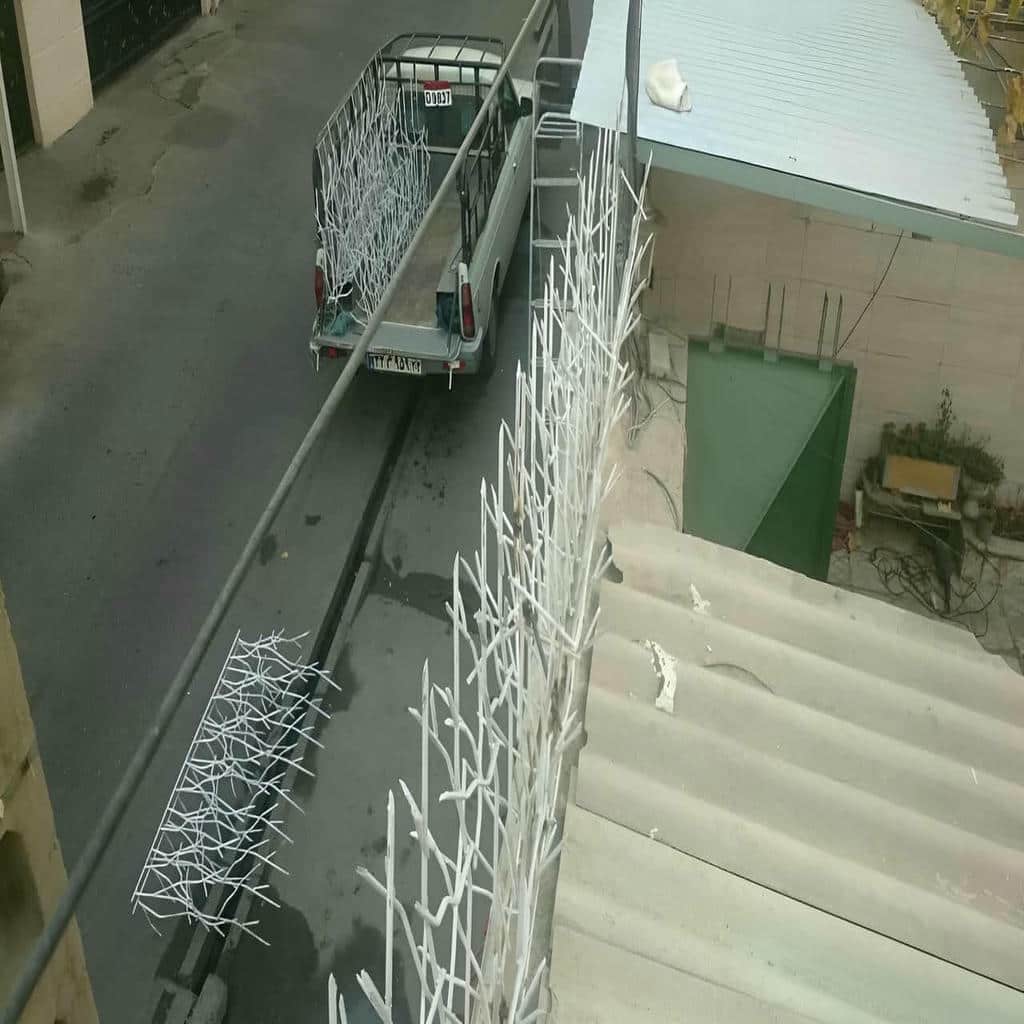 کارخانه حفاظ شاخ گوزنی دیوار سفارشی در کرمانشاه