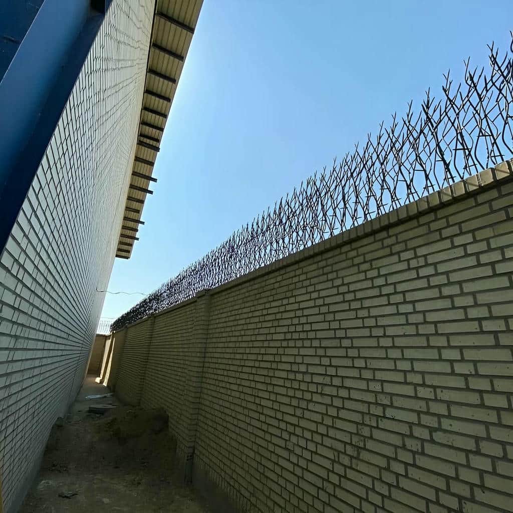 قیمت حفاظ شاخ گوزنی دیوار تراکم متوسط در یاسوج