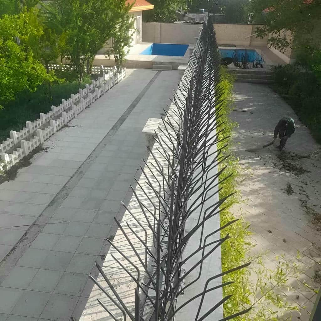 خرید حفاظ شاخ گوزنی دیوار کلاسیک در آبسرد