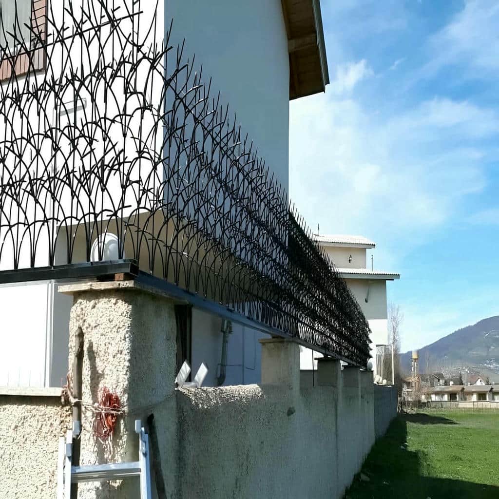 فروش حفاظ شاخ گوزنی دیوار تراکم بالا در قائمشهر فروش حفاظ شاخ گوزنی دیوار تراکم بالا در قائمشهر