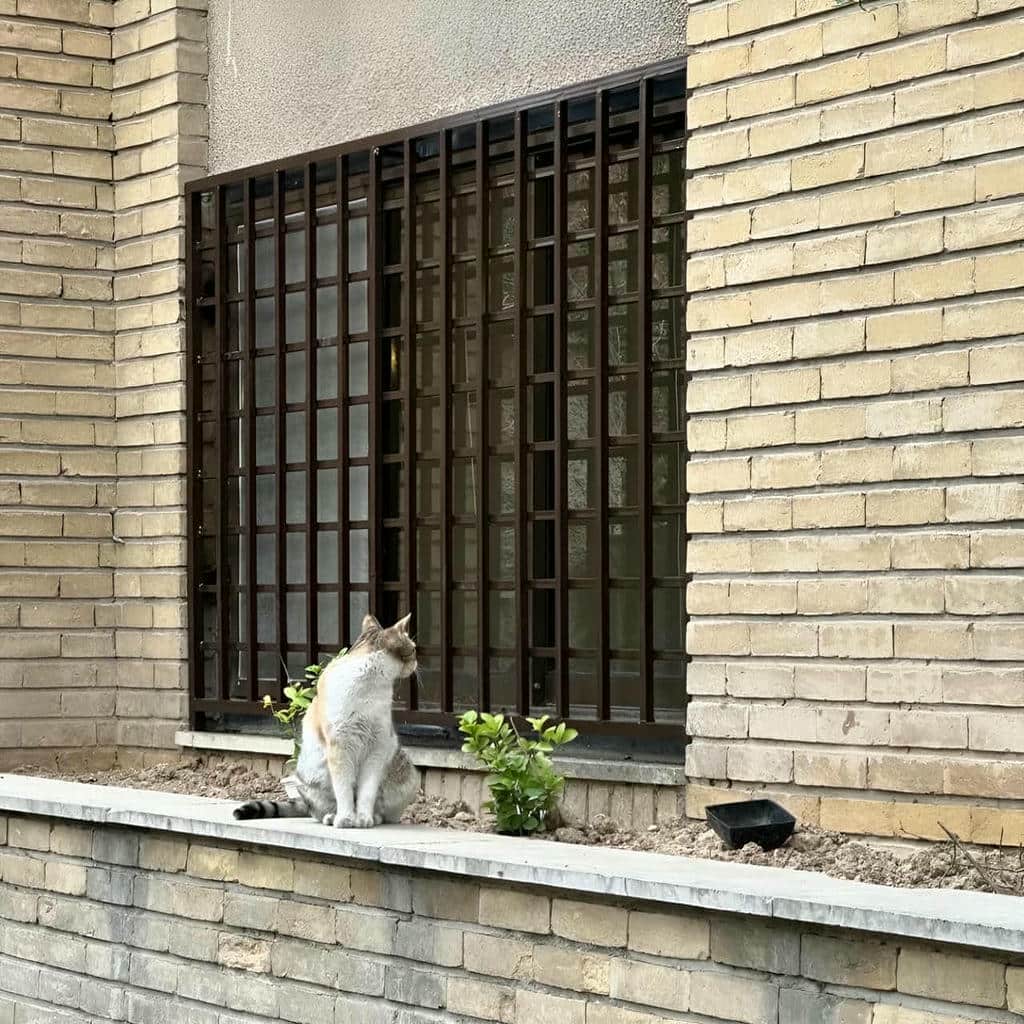 فروش نرده پنجره مدرن مربعی در اردبیل