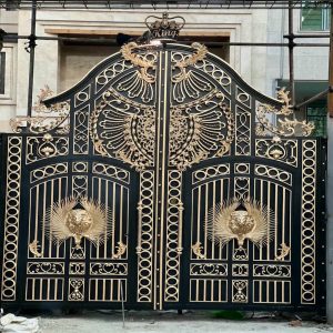 درب حیاط ایرانشهر