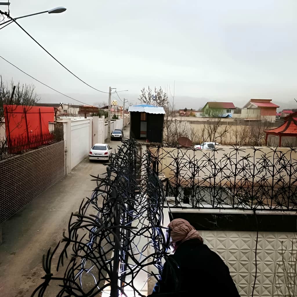 حفاظ نخل مرداب بسته بندی شده برای هماهنگی ارسال