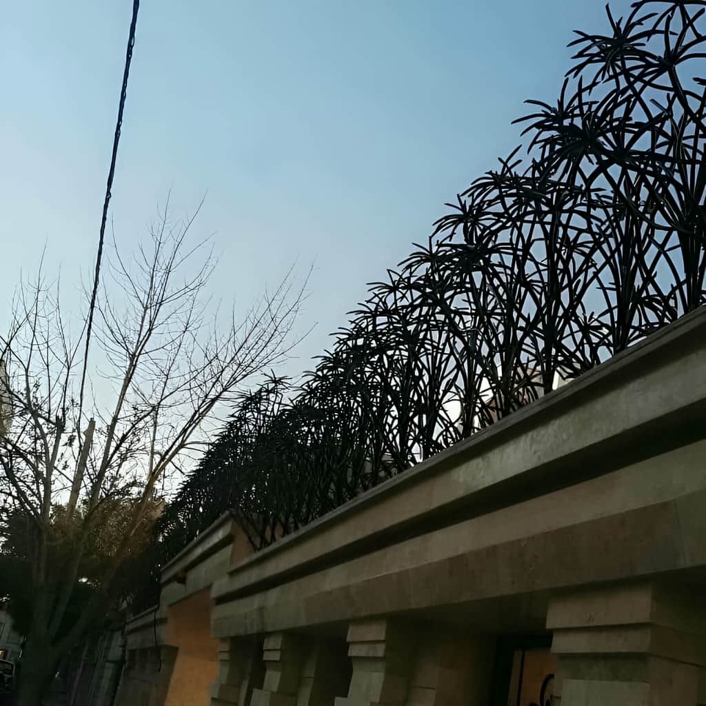 حفاظ نخل مرداب با متریال مناسب برای محیط مرطوب