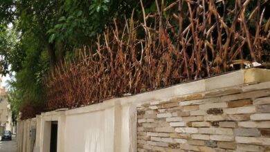 حفاظ دیوار شاخ گوزنی آهنی برای افزایش امنیت خانه