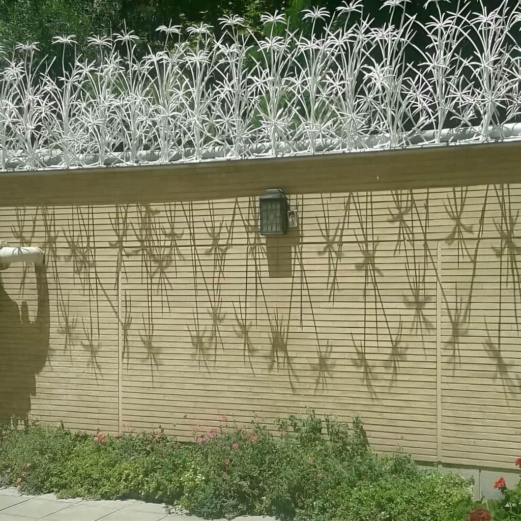 حفاظ نخل مرداب آماده سفارش اینترنتی برای دیوار ساختمان