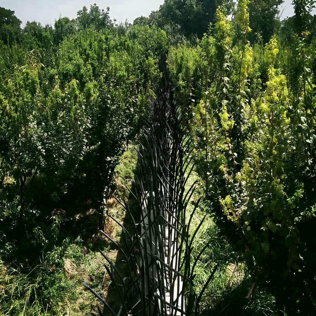 حفاظ دیوار شاخ گوزنی ارومیه رنگ مشکی