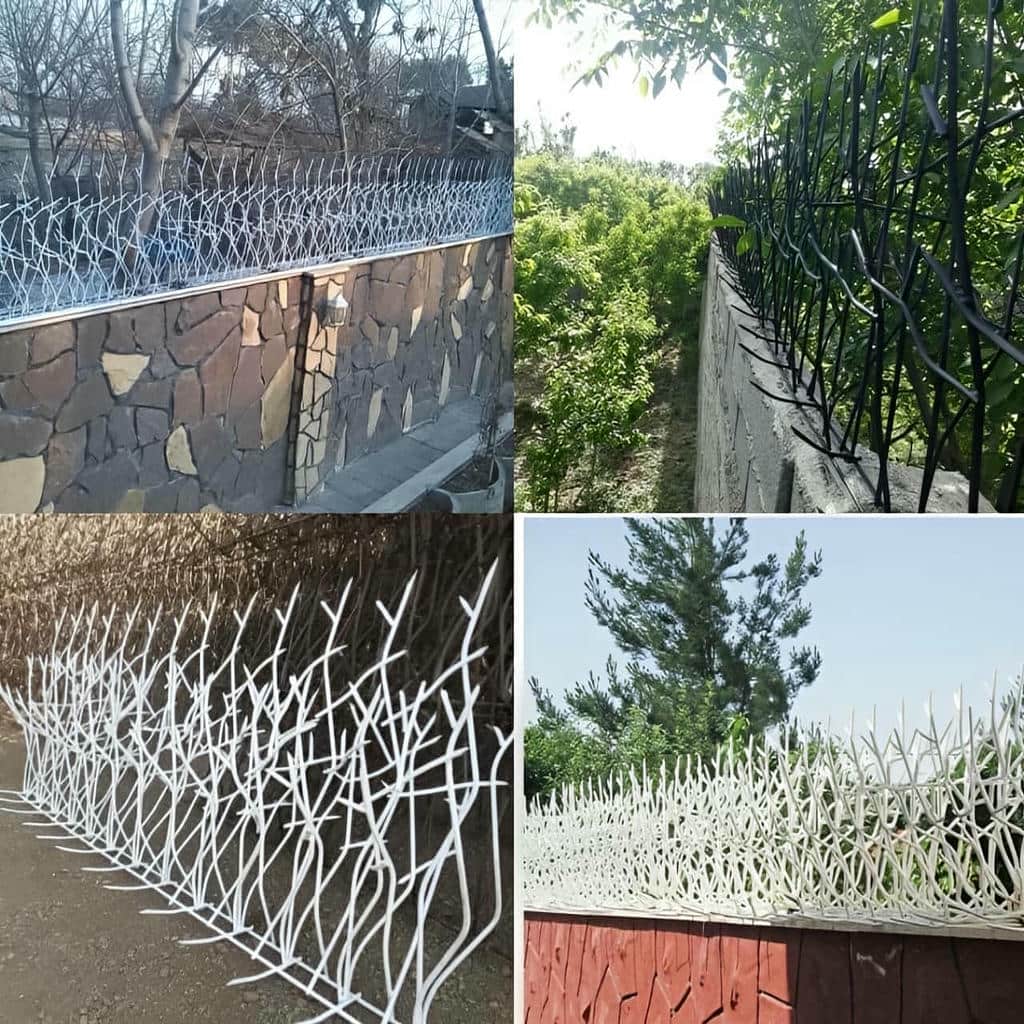 حفاظ دیوار شاخ گوزنی استان قم با رنگ مشکی