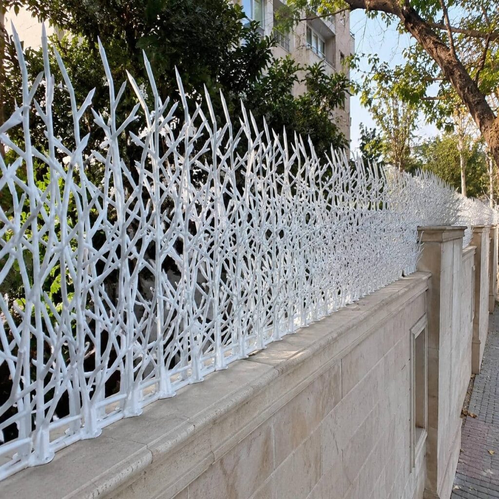 حفاظ دیوار شاخ گوزنی مشکی در استان تهران