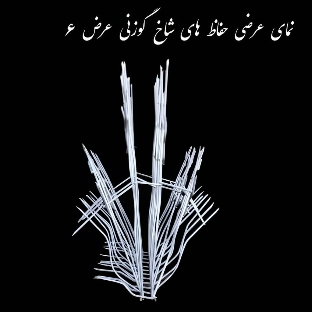 حفاظ شاخ گوزنی استان خراسان شمالی در نمای ساختمان