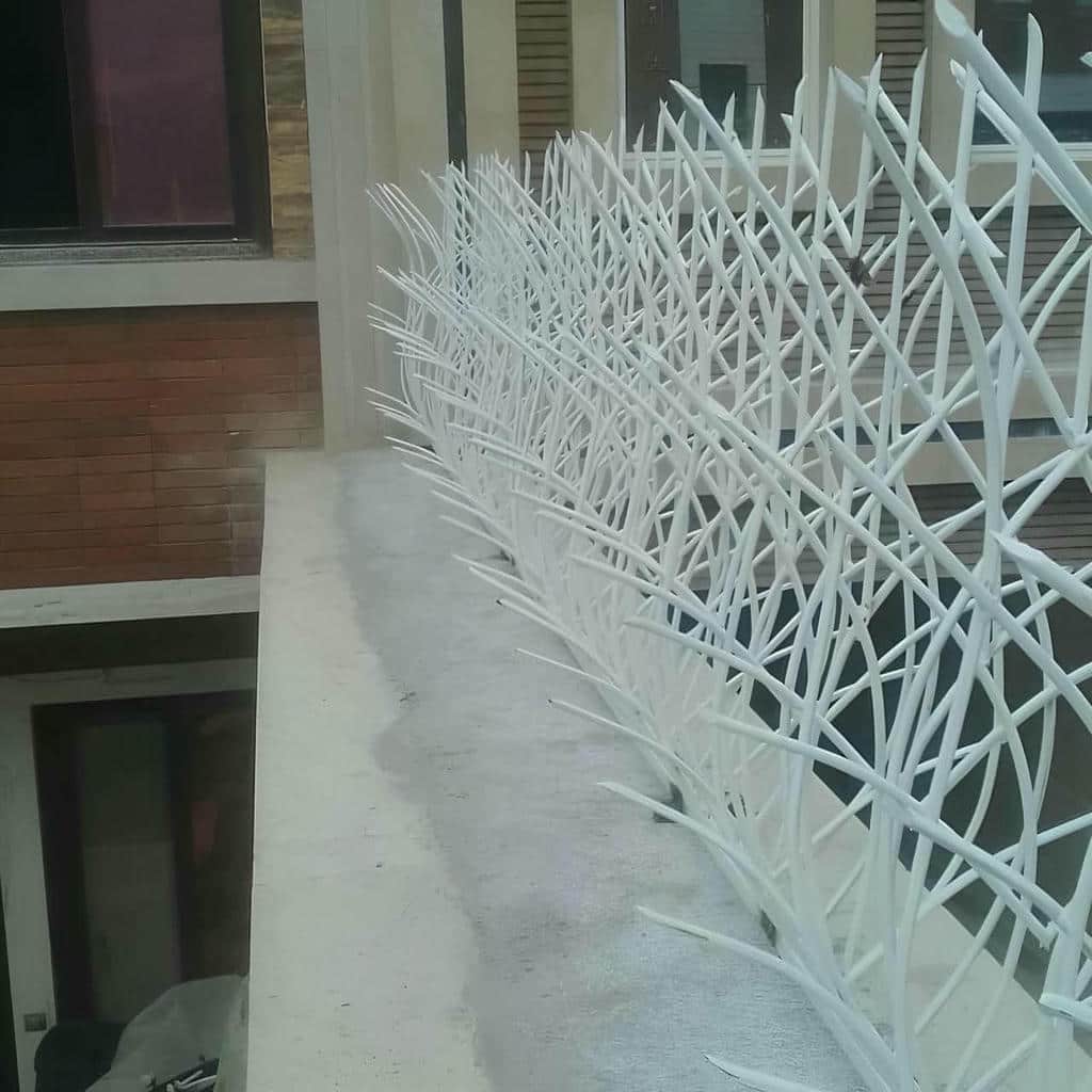 حفاظ شاخ گوزنی استان کردستان با پوشش رنگ حفاظ شاخ گوزنی استان کردستان با پوشش رنگ