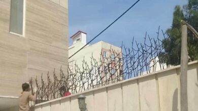 حفاظ دیوار بیرجند با مدل شاخ گوزنی فلزی