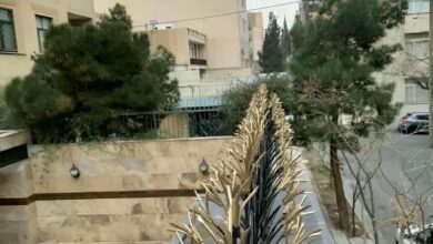 حفاظ دیوار شاخ گوزنی زاهدان نمای فلزی